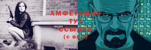 ГАЛЛЮЦИНОГЕННЫЕ ГРИБЫ Бородино
