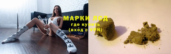 ГАЛЛЮЦИНОГЕННЫЕ ГРИБЫ Бородино