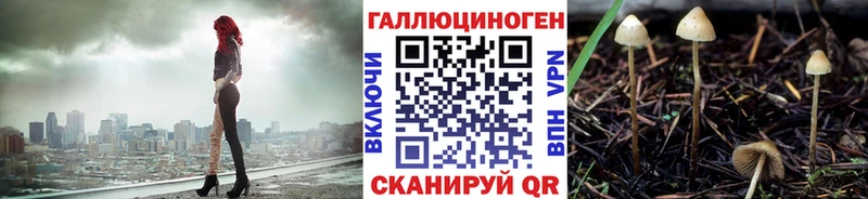 Галлюциногенные грибы Magic Shrooms  Купить  Михайловка 